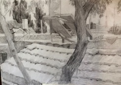 Rooftops in a village
pencil and crayons Rooftops in a village
pencil and crayons